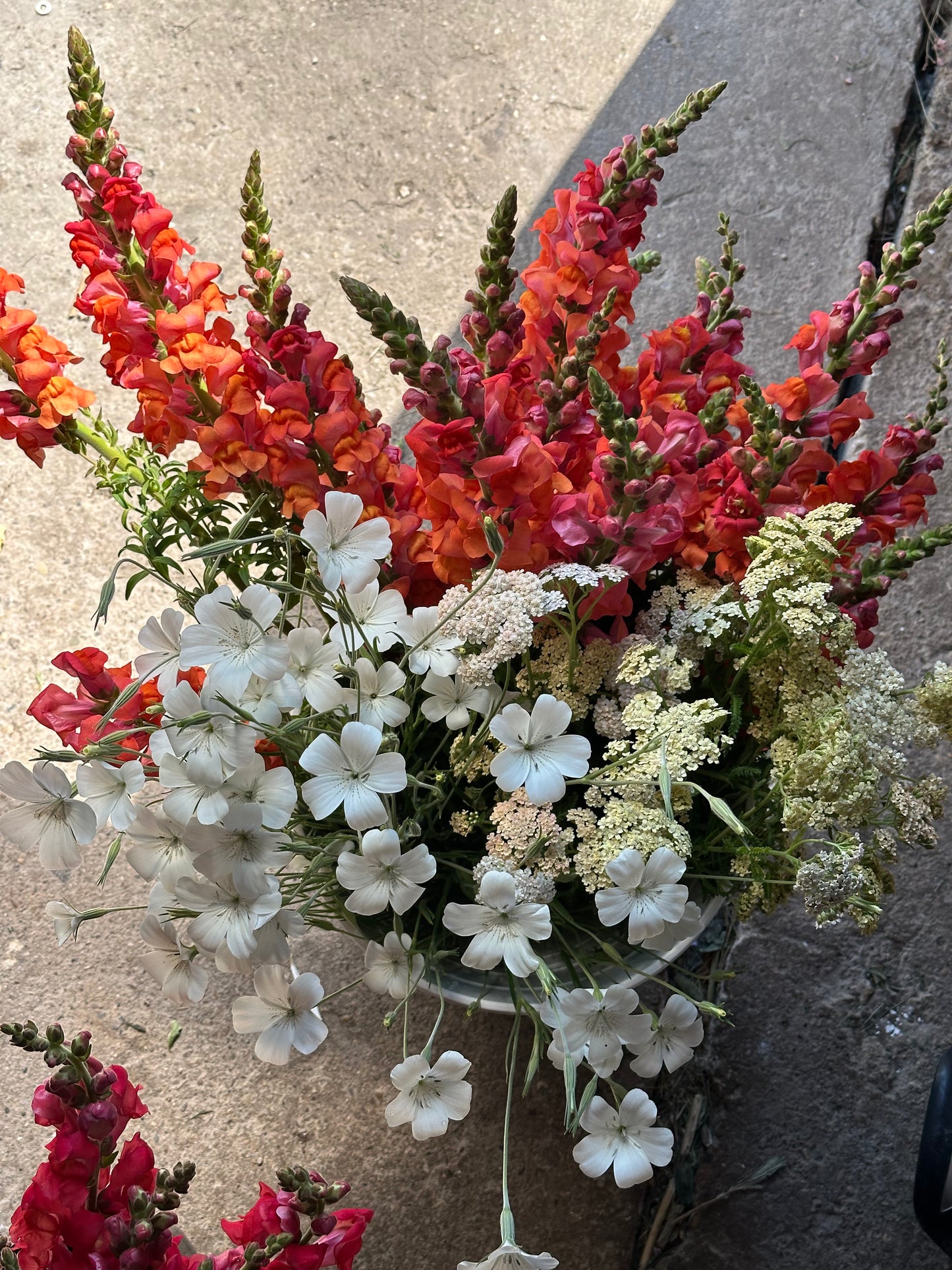 2026 Bouquet Subscription